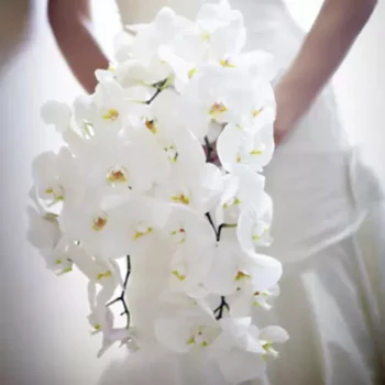 Bouquet de la mariée | fleuriste tunisie monastir